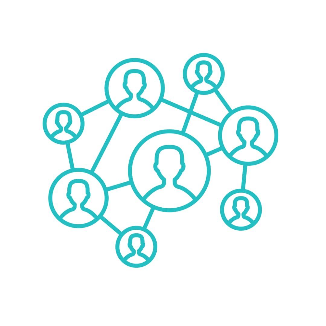 Mentorship & Networking